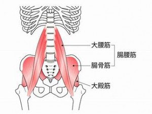 腸腰筋